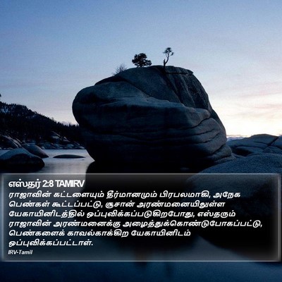 எஸ்தர் 2:8 TAMIRV Bible Verse Image