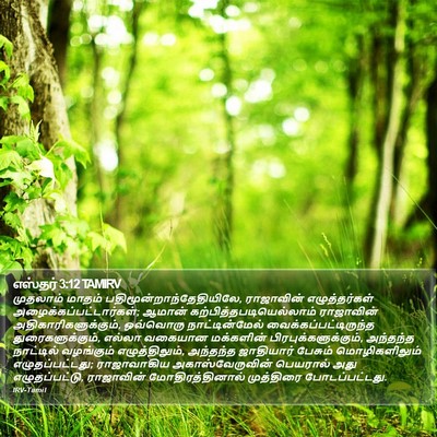 எஸ்தர் 3:12 TAMIRV Bible Verse Image