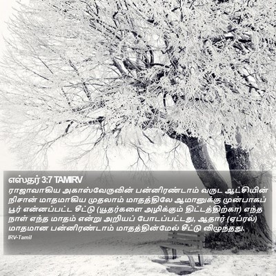 எஸ்தர் 3:7 TAMIRV Bible Verse Image