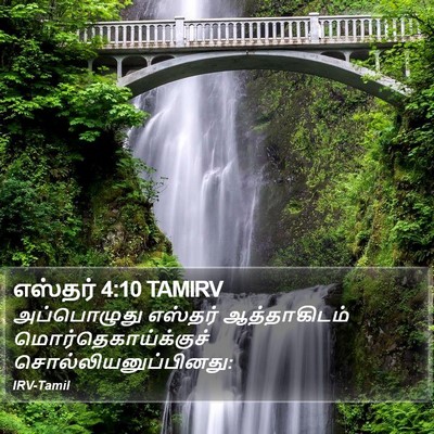 எஸ்தர் 4:10 TAMIRV Bible Verse Image