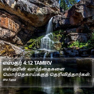 எஸ்தர் 4:12 TAMIRV Bible Verse Image