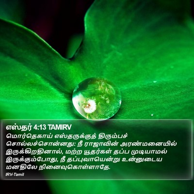 எஸ்தர் 4:13 TAMIRV Bible Verse Image