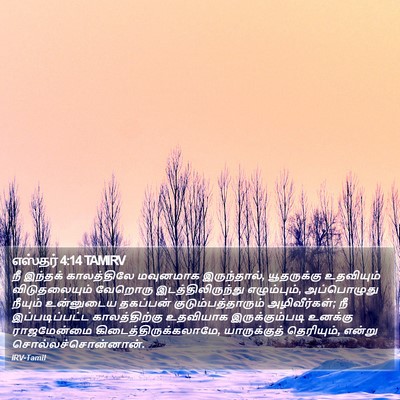 எஸ்தர் 4:14 TAMIRV Bible Verse Image