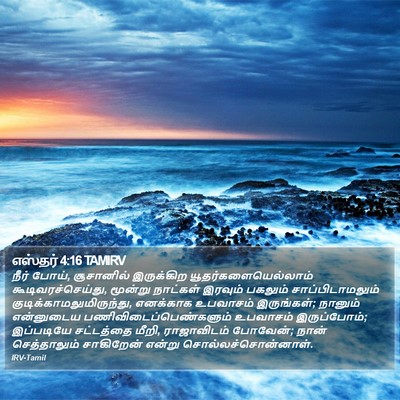 எஸ்தர் 4:16 TAMIRV Bible Verse Image
