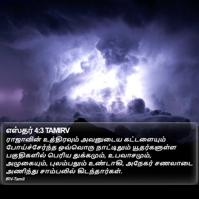எஸ்தர் 4:3 TAMIRV Bible Verse Image