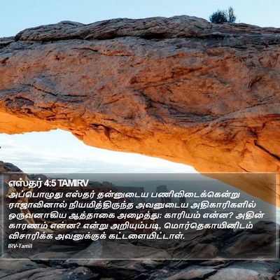 எஸ்தர் 4:5 TAMIRV Bible Verse Image