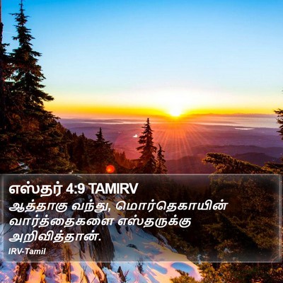 எஸ்தர் 4:9 TAMIRV Bible Verse Image