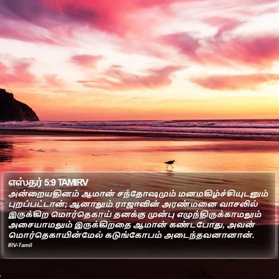 எஸ்தர் 5:9 TAMIRV Bible Verse Image