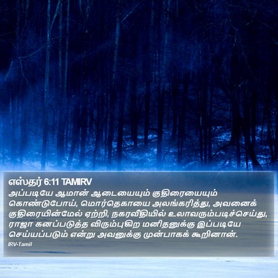 எஸ்தர் 6:11 TAMIRV Bible Verse Image