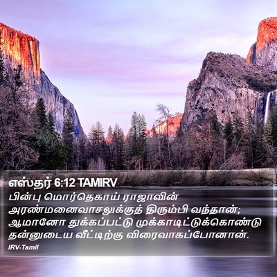 எஸ்தர் 6:12 TAMIRV Bible Verse Image