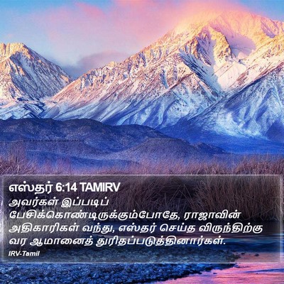 எஸ்தர் 6:14 TAMIRV Bible Verse Image