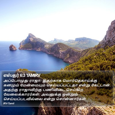 எஸ்தர் 6:3 TAMIRV Bible Verse Image
