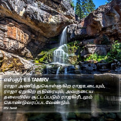 எஸ்தர் 6:8 TAMIRV Bible Verse Image