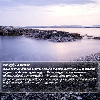 எஸ்தர் 7:4 TAMIRV Bible Verse Image