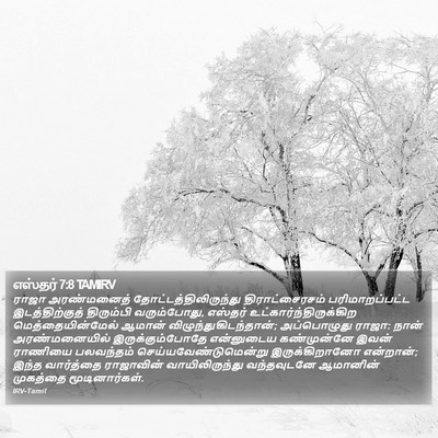 எஸ்தர் 7:8 TAMIRV Bible Verse Image