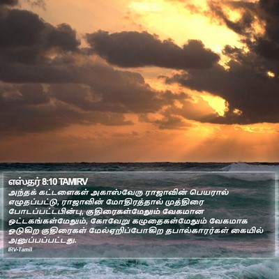 எஸ்தர் 8:10 TAMIRV Bible Verse Image