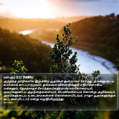 எஸ்தர் 8:12 TAMIRV Bible Verse Image