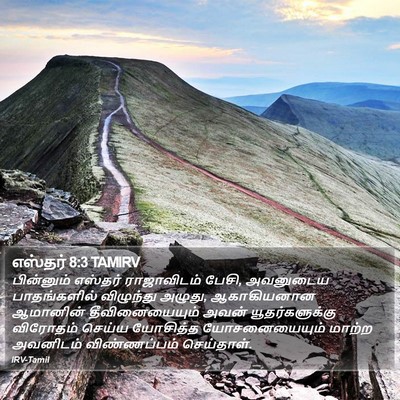 எஸ்தர் 8:3 TAMIRV Bible Verse Image
