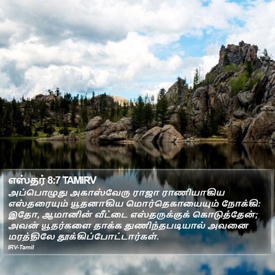 எஸ்தர் 8:7 TAMIRV Bible Verse Image