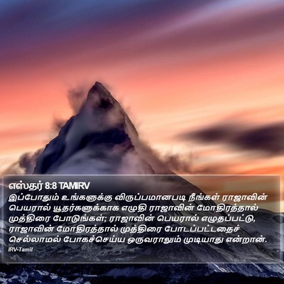 எஸ்தர் 8:8 TAMIRV Bible Verse Image