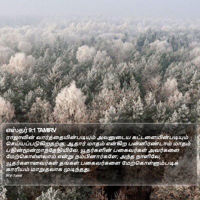 எஸ்தர் 9:1 TAMIRV Bible Verse Image