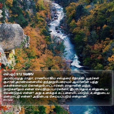 எஸ்தர் 9:12 TAMIRV Bible Verse Image
