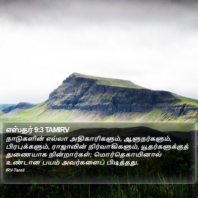 எஸ்தர் 9:3 TAMIRV Bible Verse Image