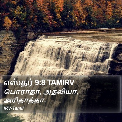 எஸ்தர் 9:8 TAMIRV Bible Verse Image