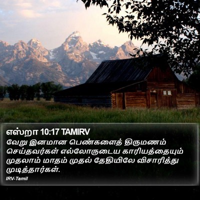 எஸ்றா 10:17 TAMIRV Bible Verse Image