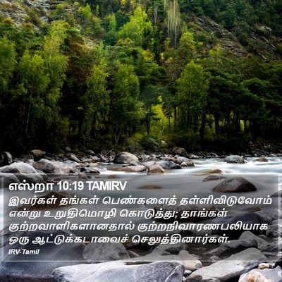 எஸ்றா 10:19 TAMIRV Bible Verse Image