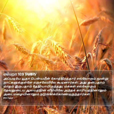 எஸ்றா 10:9 TAMIRV Bible Verse Image