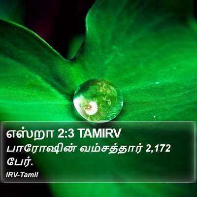 எஸ்றா 2:3 TAMIRV Bible Verse Image