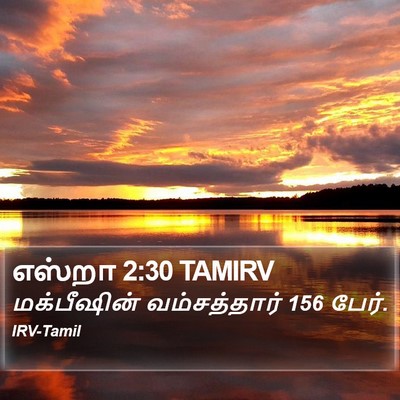 எஸ்றா 2:30 TAMIRV Bible Verse Image