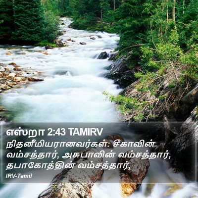 எஸ்றா 2:43 TAMIRV Bible Verse Image