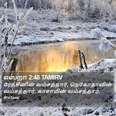எஸ்றா 2:48 TAMIRV Bible Verse Image