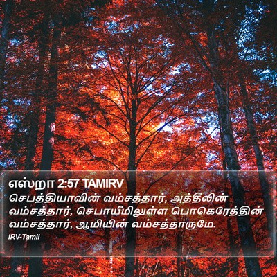 எஸ்றா 2:57 TAMIRV Bible Verse Image