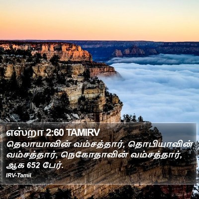 எஸ்றா 2:60 TAMIRV Bible Verse Image