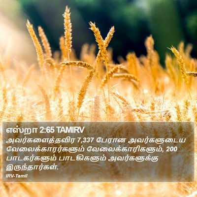 எஸ்றா 2:65 TAMIRV Bible Verse Image