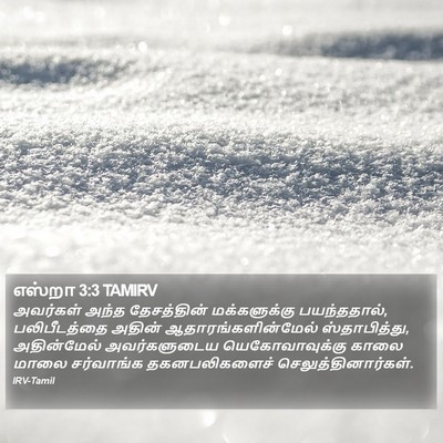 எஸ்றா 3:3 TAMIRV Bible Verse Image
