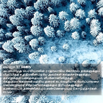 எஸ்றா 3:7 TAMIRV Bible Verse Image
