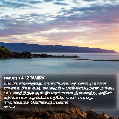 எஸ்றா 4:12 TAMIRV Bible Verse Image