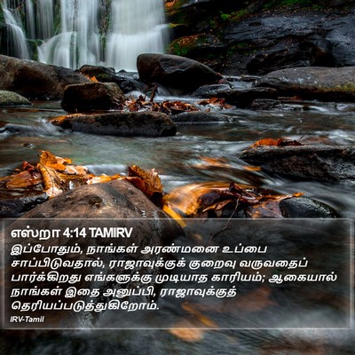 எஸ்றா 4:14 TAMIRV Bible Verse Image