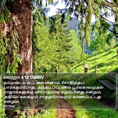 எஸ்றா 4:19 TAMIRV Bible Verse Image