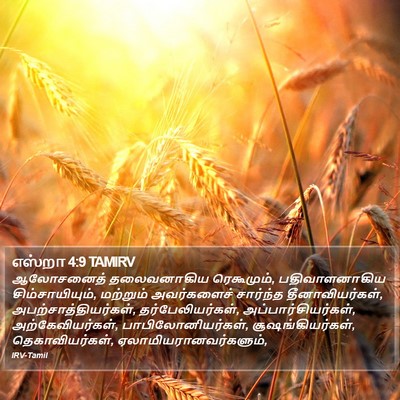 எஸ்றா 4:9 TAMIRV Bible Verse Image