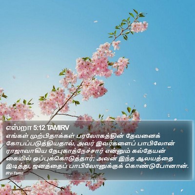 எஸ்றா 5:12 TAMIRV Bible Verse Image