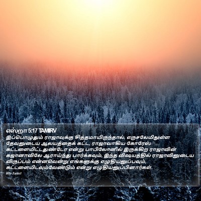 எஸ்றா 5:17 TAMIRV Bible Verse Image