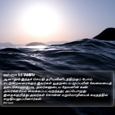எஸ்றா 5:5 TAMIRV Bible Verse Image
