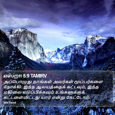 எஸ்றா 5:9 TAMIRV Bible Verse Image