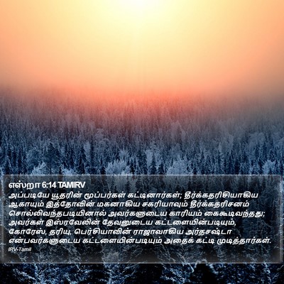 எஸ்றா 6:14 TAMIRV Bible Verse Image