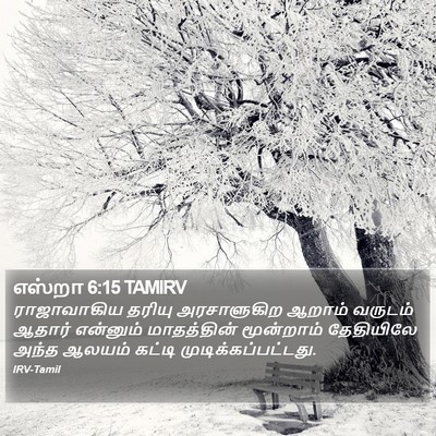 எஸ்றா 6:15 TAMIRV Bible Verse Image
